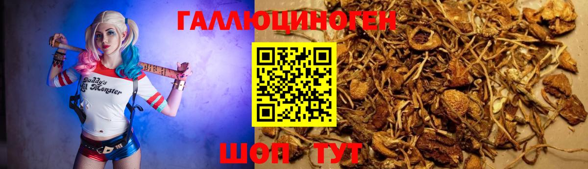 Псилоцибиновые грибы Psilocybine cubensis  Вход с VPN  Псилоцибиновые грибы Magic Shrooms  Карталы 